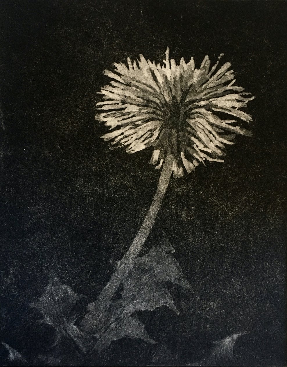 Espoir, 2019 - angus hampel