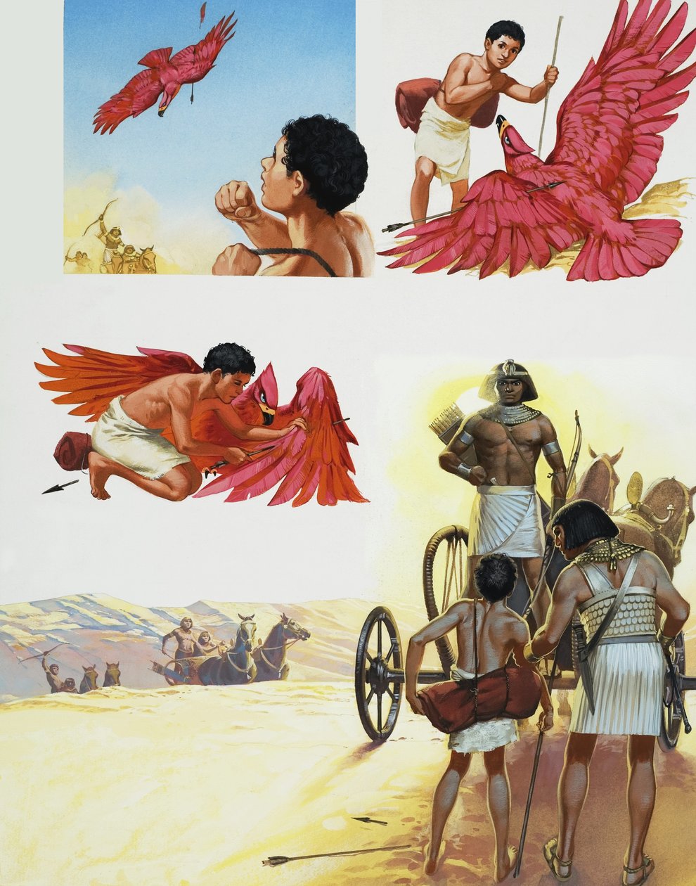 Oiseau rouge - Angus McBride