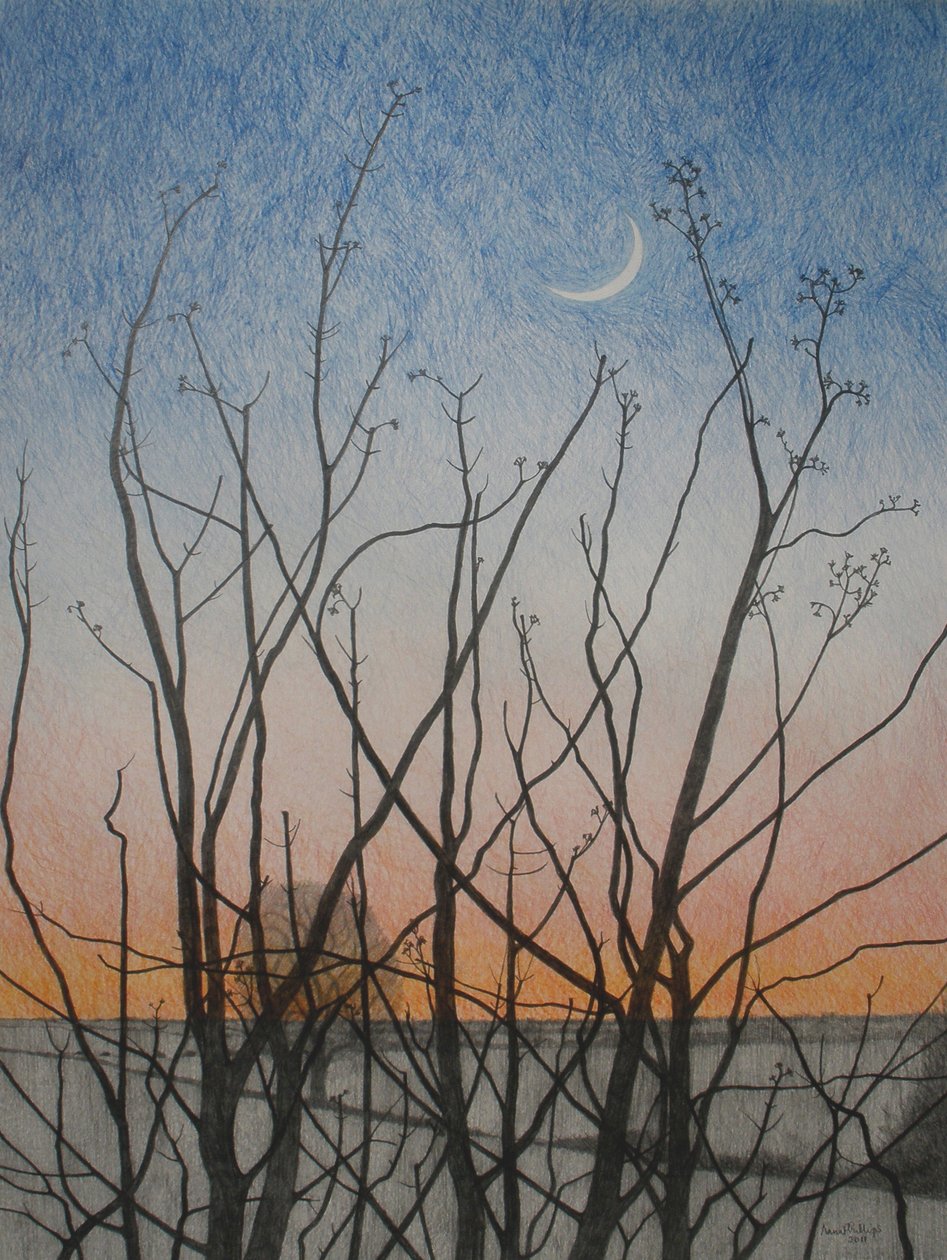 De ma fenêtre, 2011 - Anna Phillips