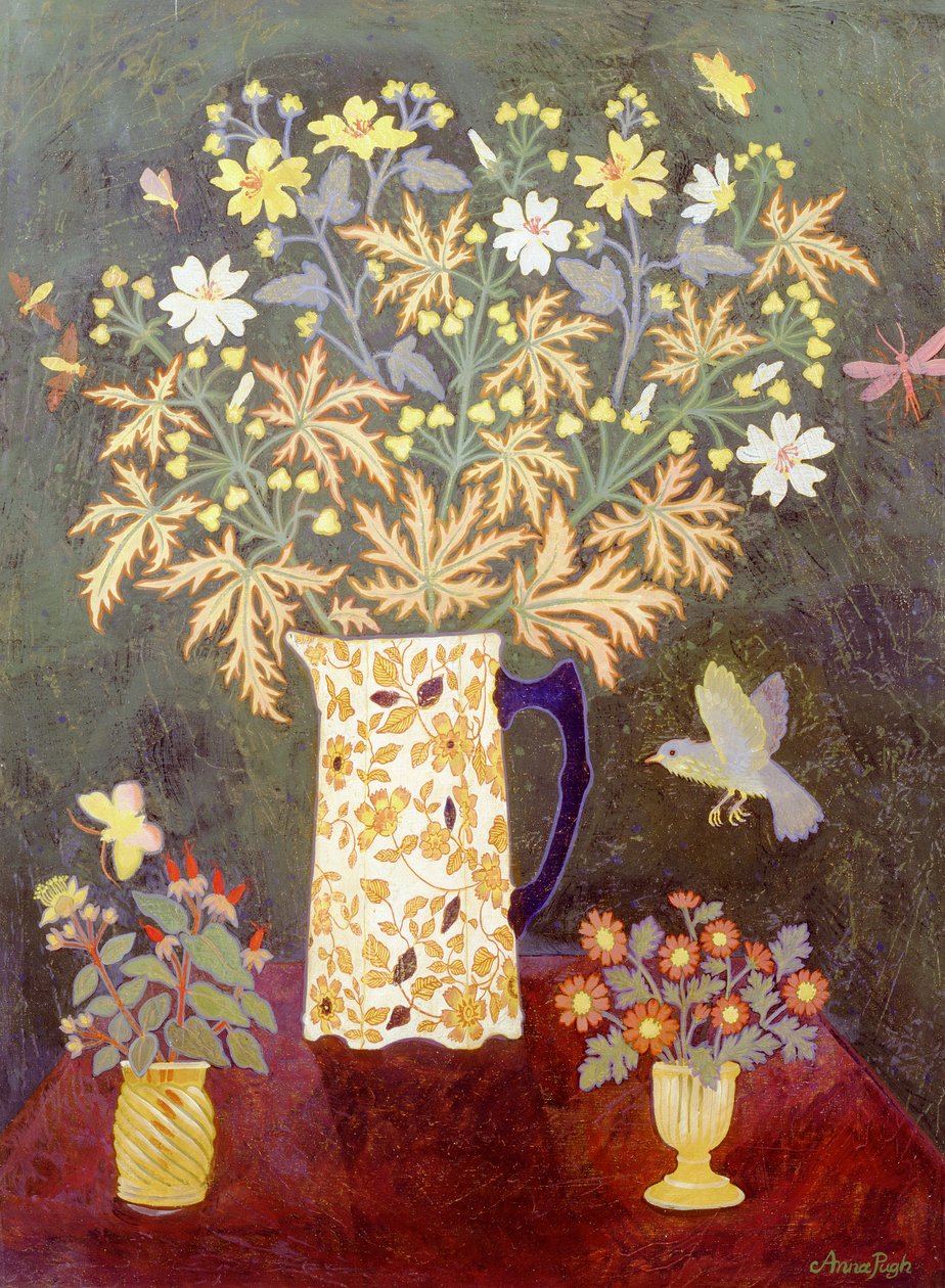 5 insectes et un oiseau - Anna Pugh