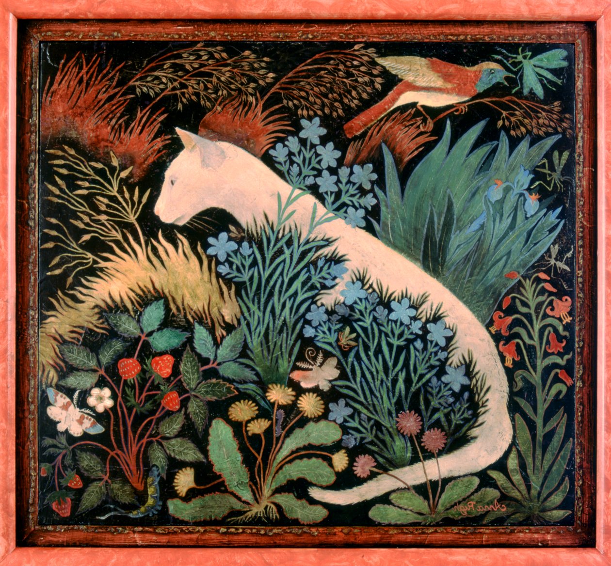 Albinos - Anna Pugh