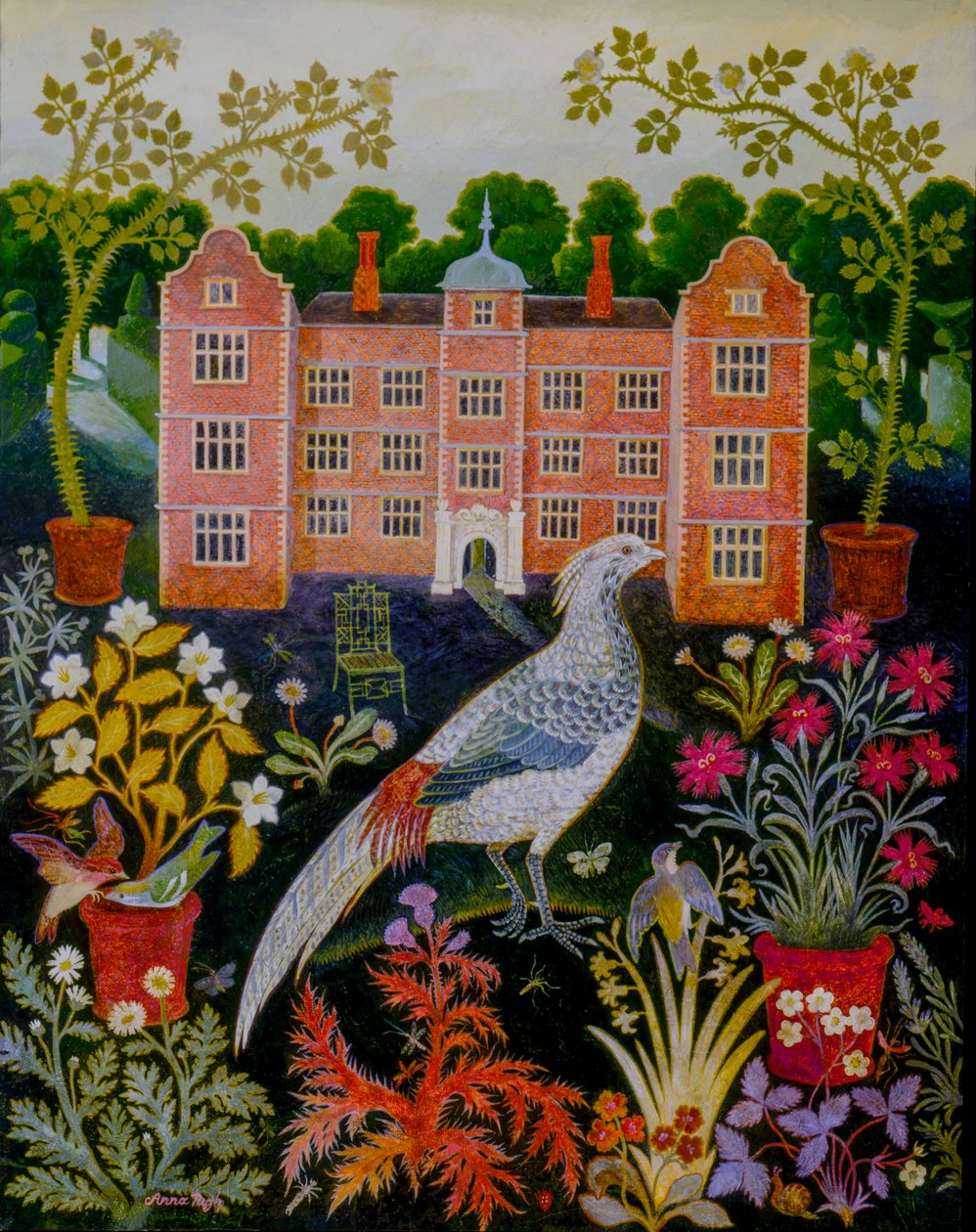 Plantes en pot - Anna Pugh