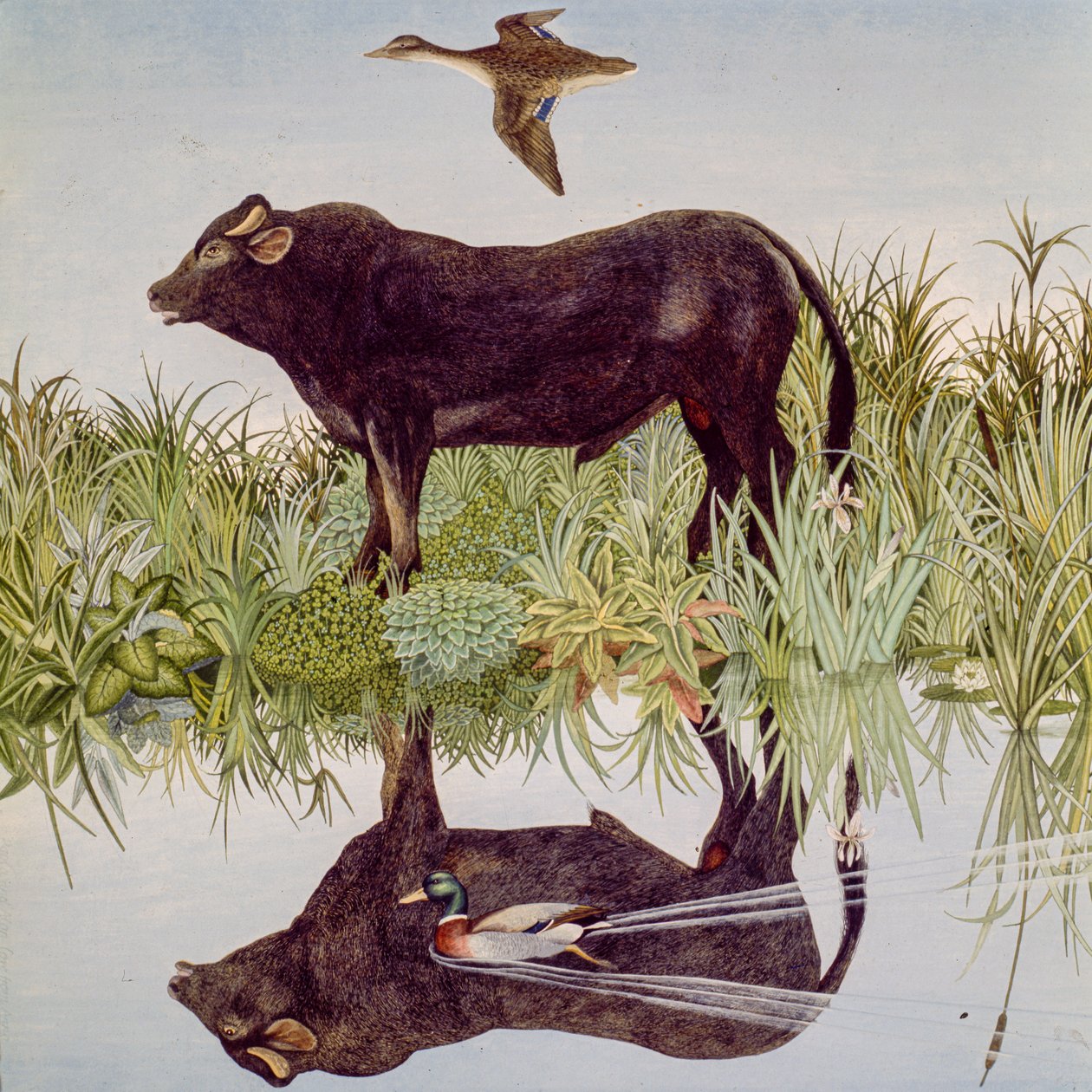 Réflexion, 2004 (acrylique) - Anna Pugh