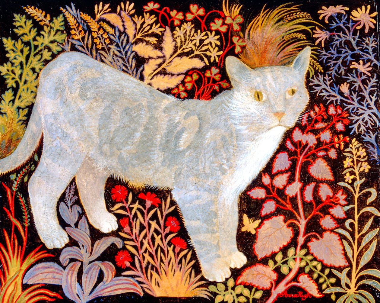 Tabby argenté - Anna Pugh