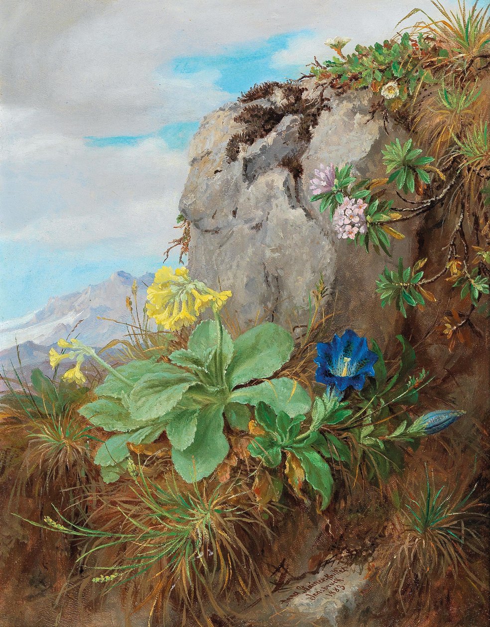 Fleurs des Alpes - Anna Stainer Knittel