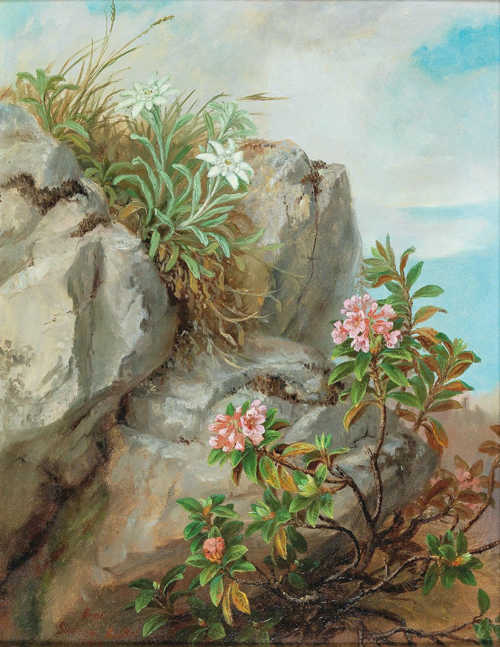Roses des Alpes - Anna Stainer Knittel