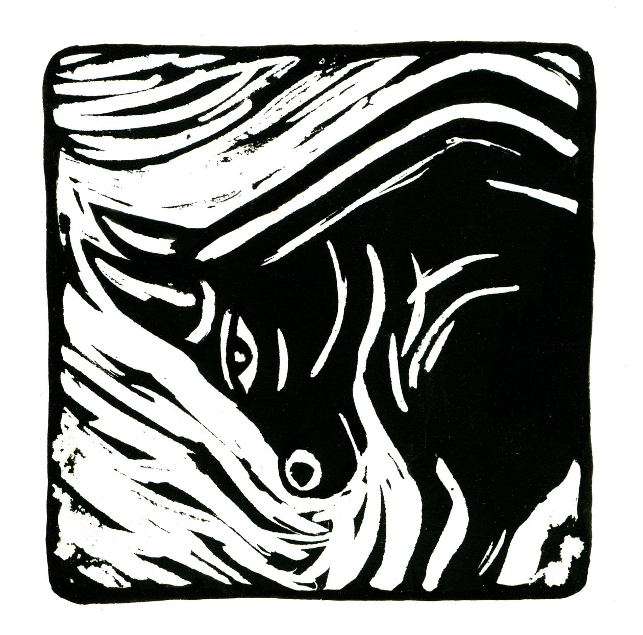 Horoscope (Taureau) - Annalisa Morrocco