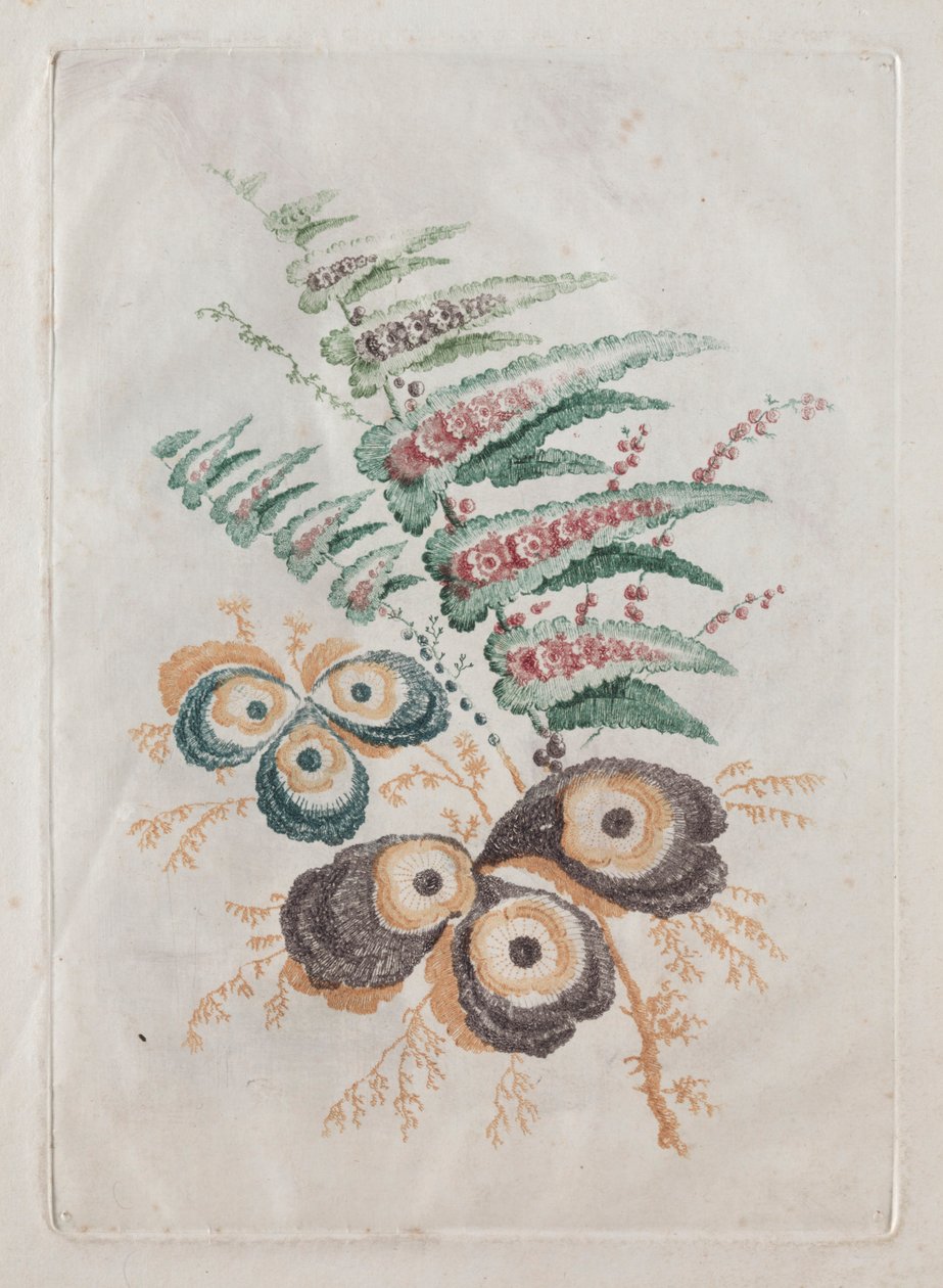 Nouvelle suite de portfolios de fleurs idéales pour la conception et la peinture : Fantaisies florales, vers 179 - Anne Allen