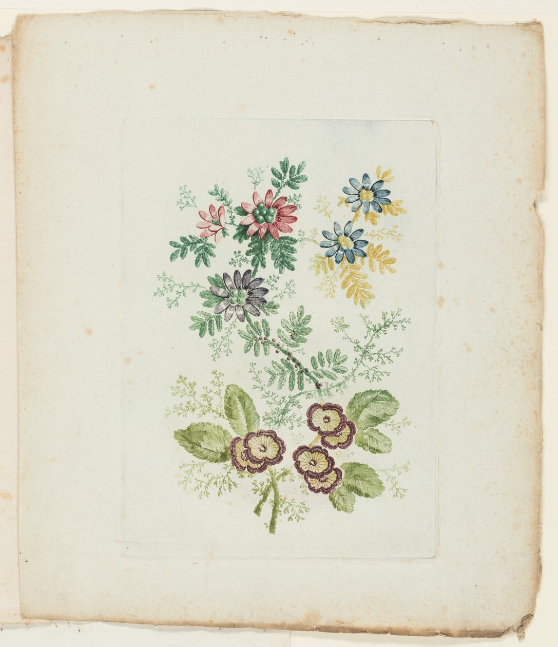 Assiette, de la Nouvelle Suite de Carnets de Fleurs Idéales pour l