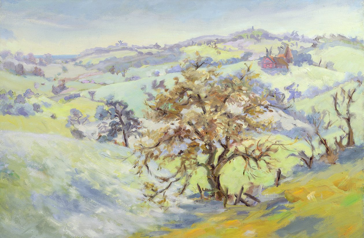 De Udimore vers Peasmarch, Sussex, en hiver - Anne Durham