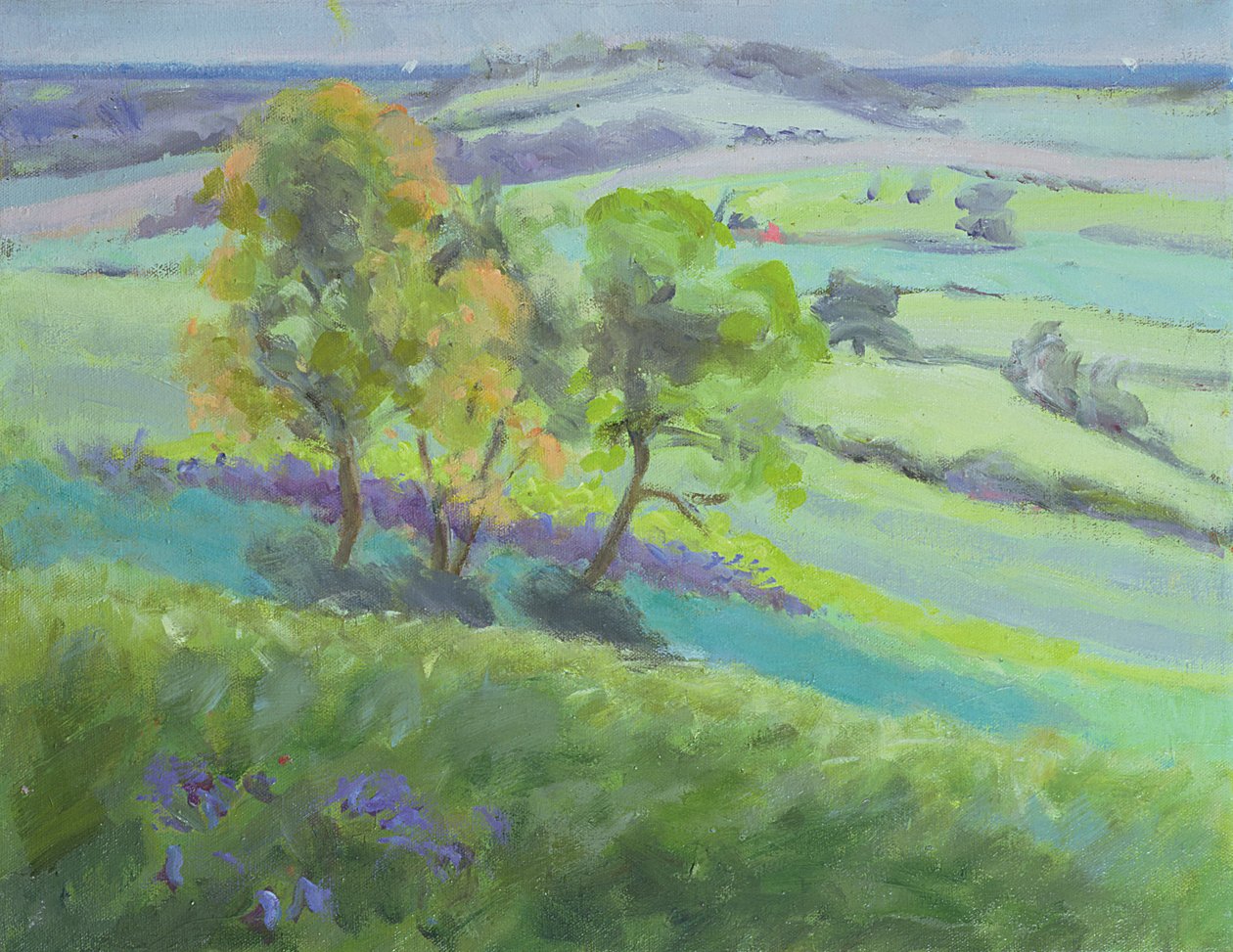 Vers Winchelsea, Sussex, avec des jacinthes au printemps - Anne Durham