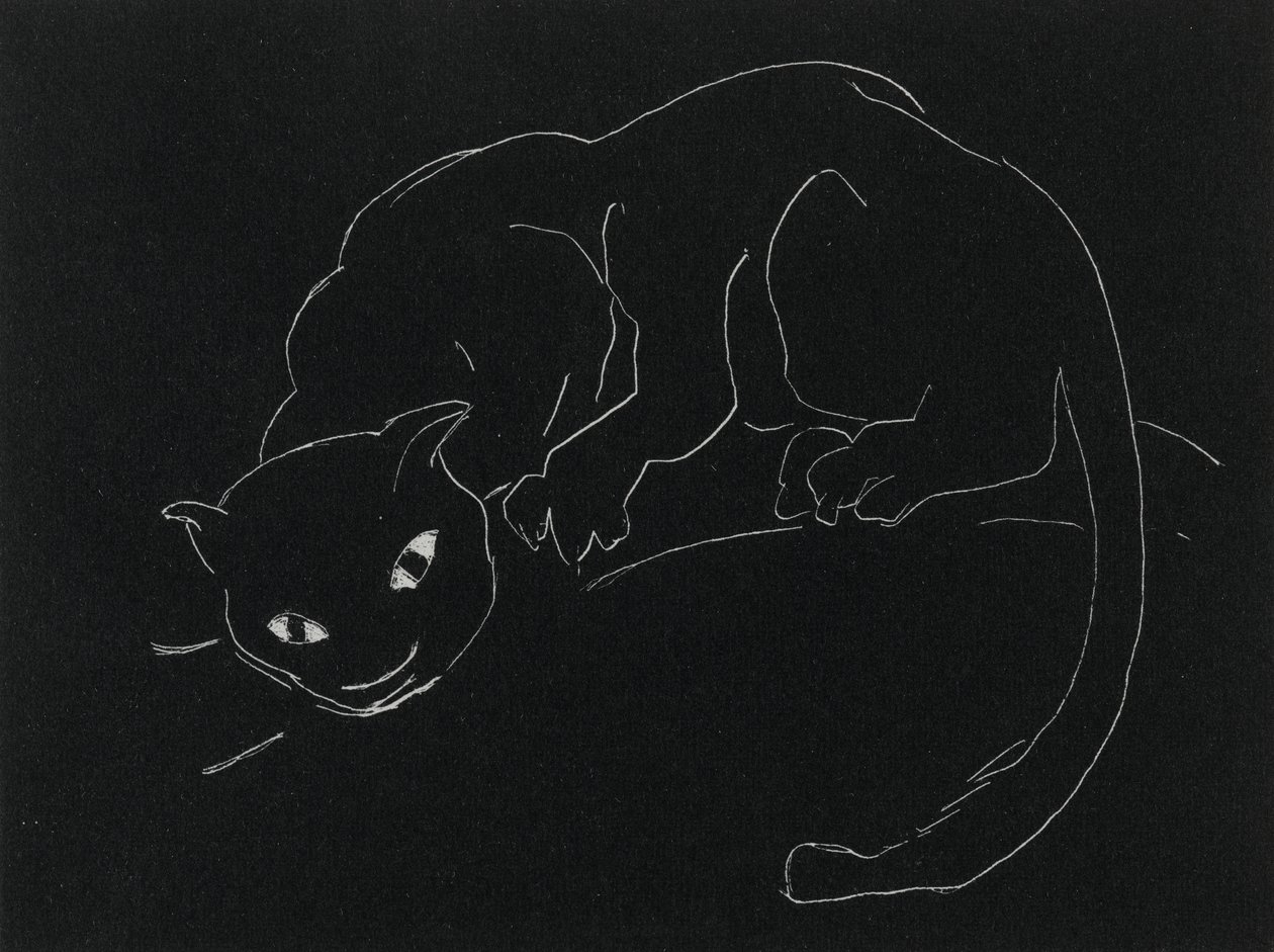 Série de nuit : Le Chat - Anne Goldthwaite