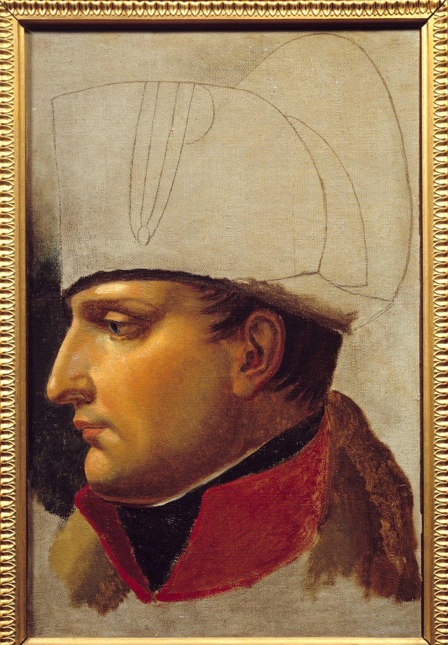 Portrait de Napoléon Ier (1769-1821) étude pour la remise des clés de la ville de Vienne le 13 novembre - Anne Louis Girodet de Roucy Trioson