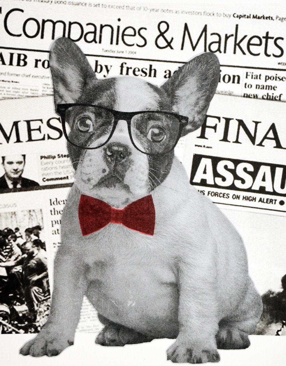 Chien de Wall Street, 2015 - Anne Storno