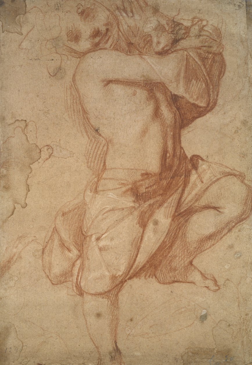 Garçon semi-nu - Annibale Carracci