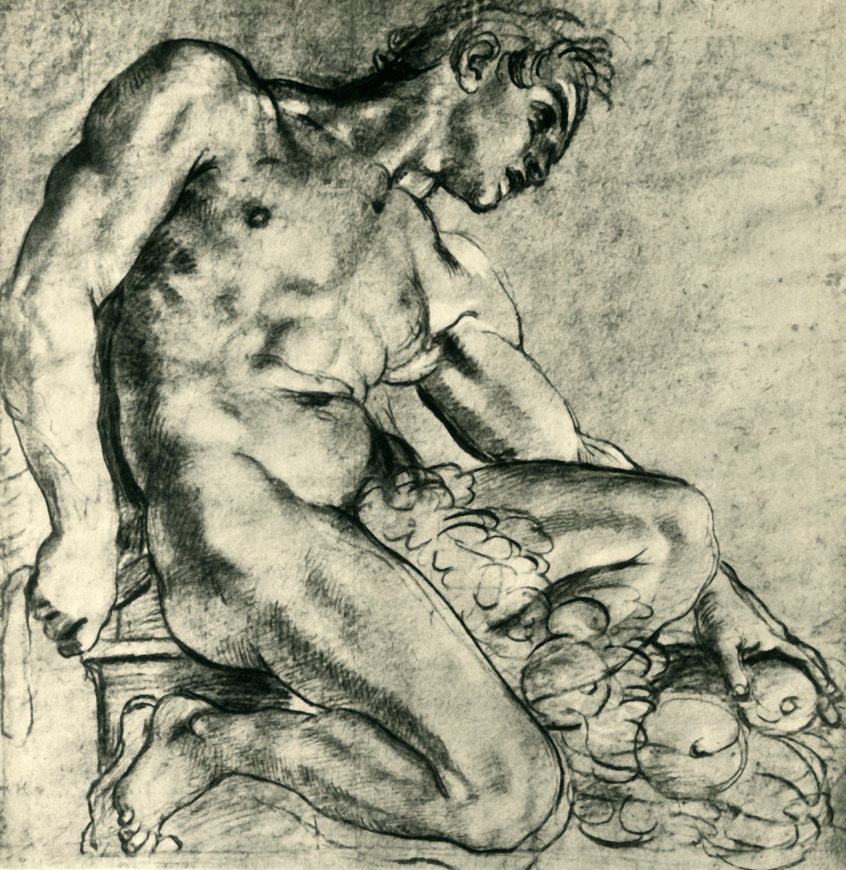 Un Ignudo assis avec une guirlande, 1598-1599, 1943 - Annibale Carracci
