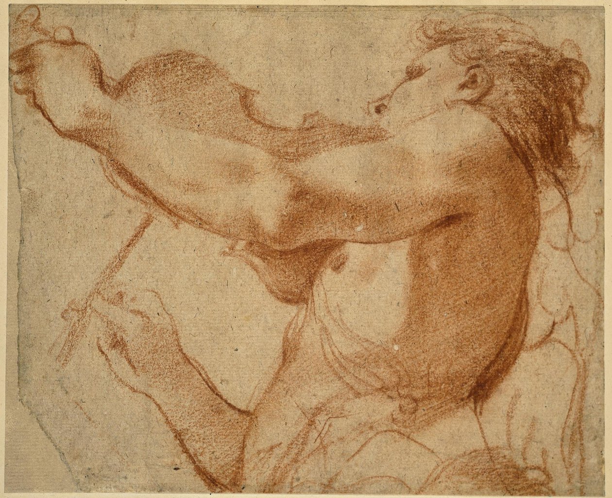 Un ange jouant du violon - Annibale Carracci