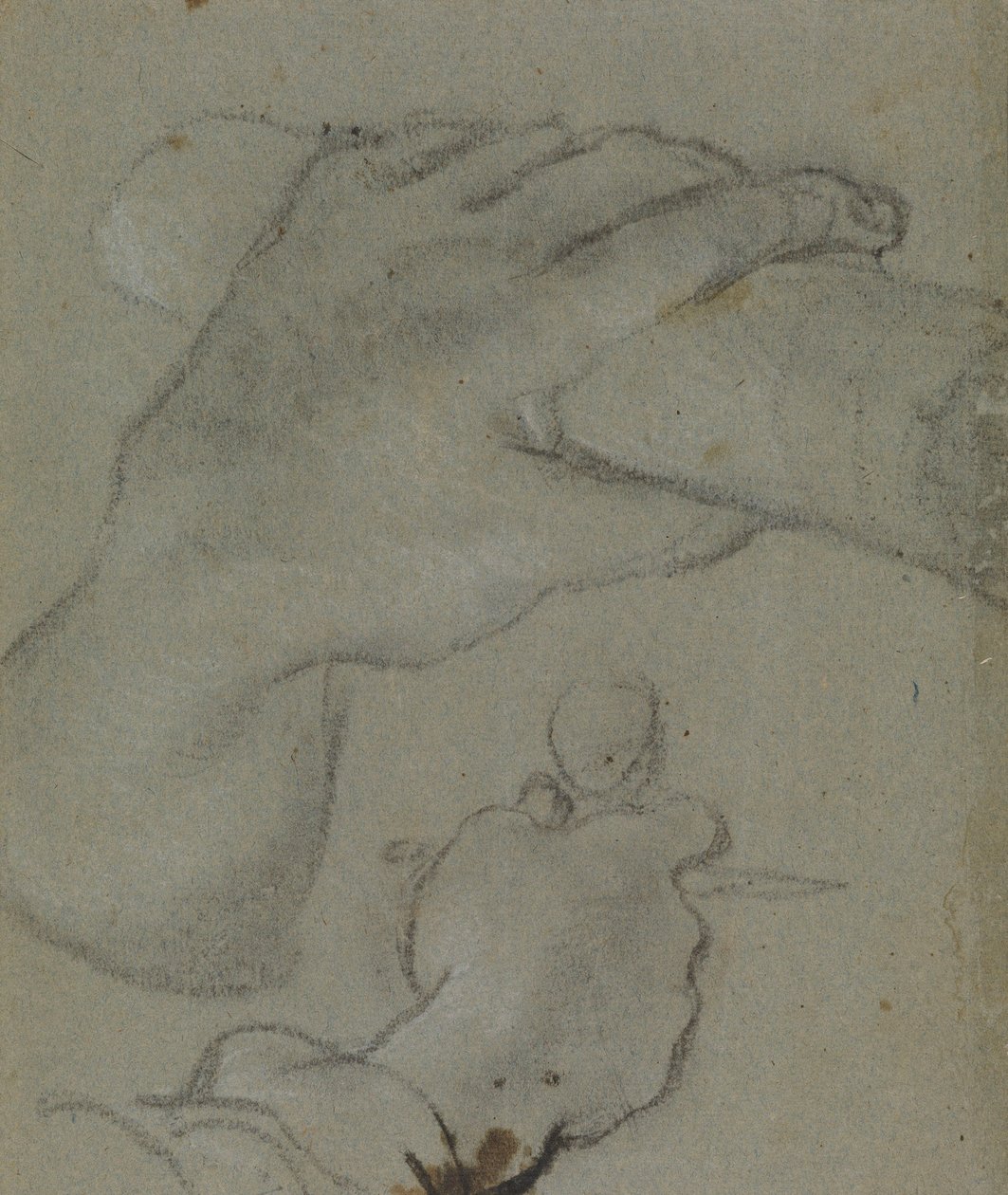 Carracci - v étude pour les mains de St Jean l