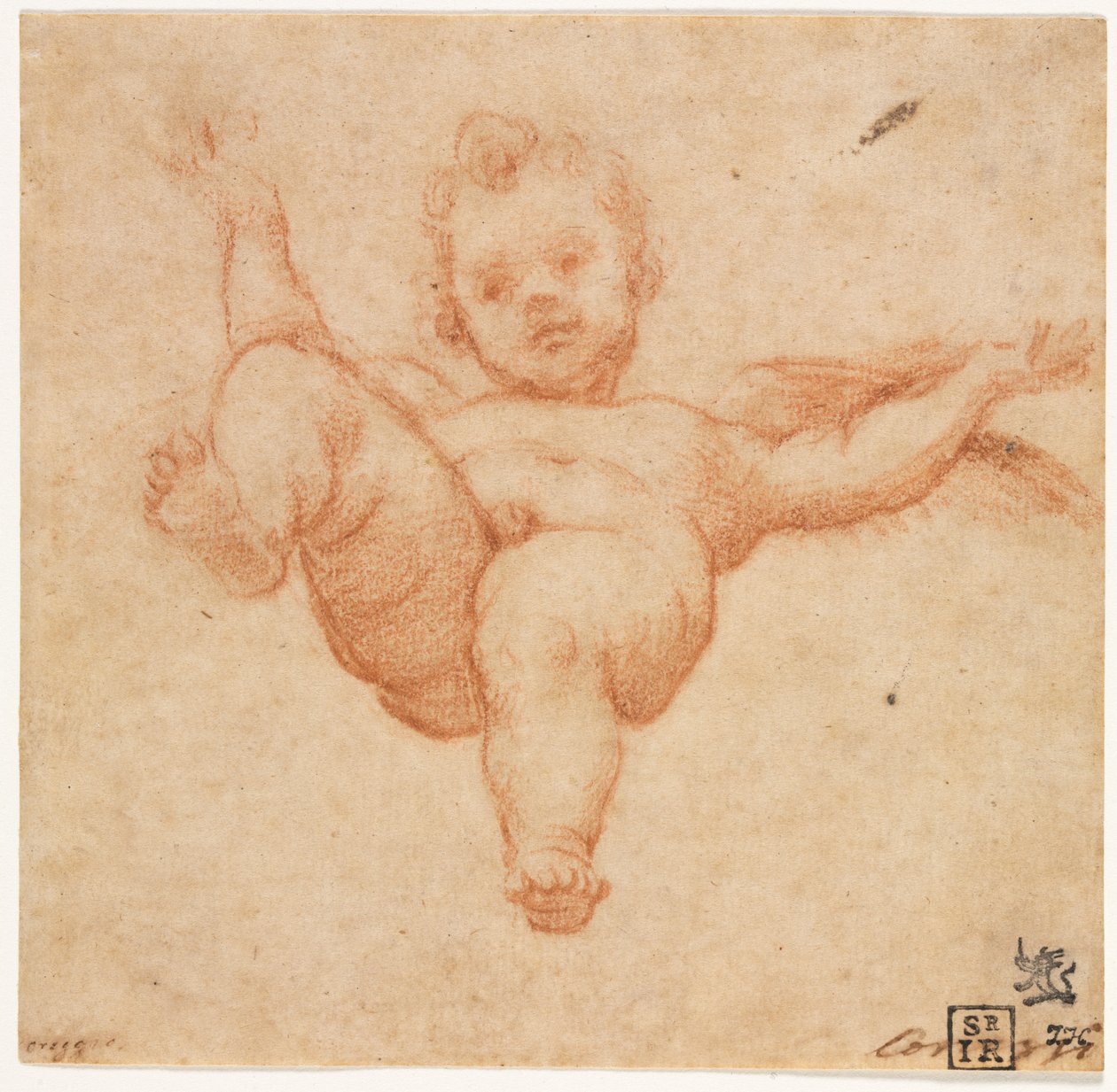 Fliegender Amor - Annibale Carracci