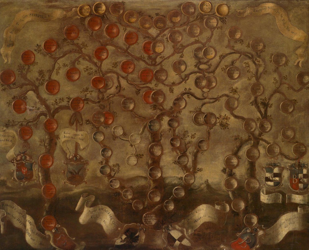 Arbre généalogique de la famille des comtes Gravisi de Capodistria - Anonymous