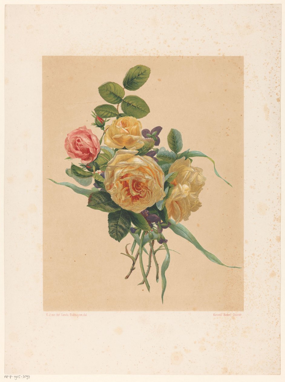 Bouquet de roses et de violettes - Anonymous