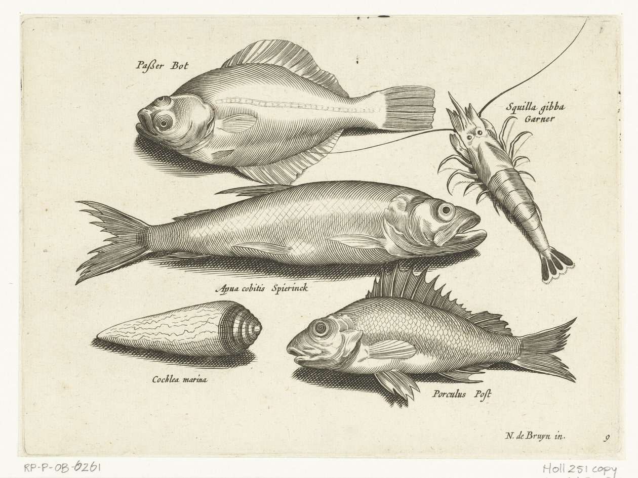 Plie, crevette, éperlan et perche (Libelivs varia Genera piscium complectens) - Anonymous
