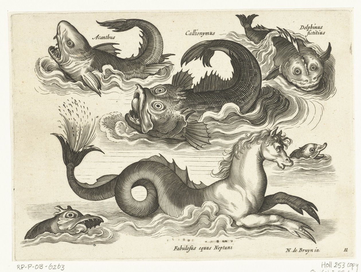 Animaux aquatiques fantastiques, y compris un hippocampe - Anonymous