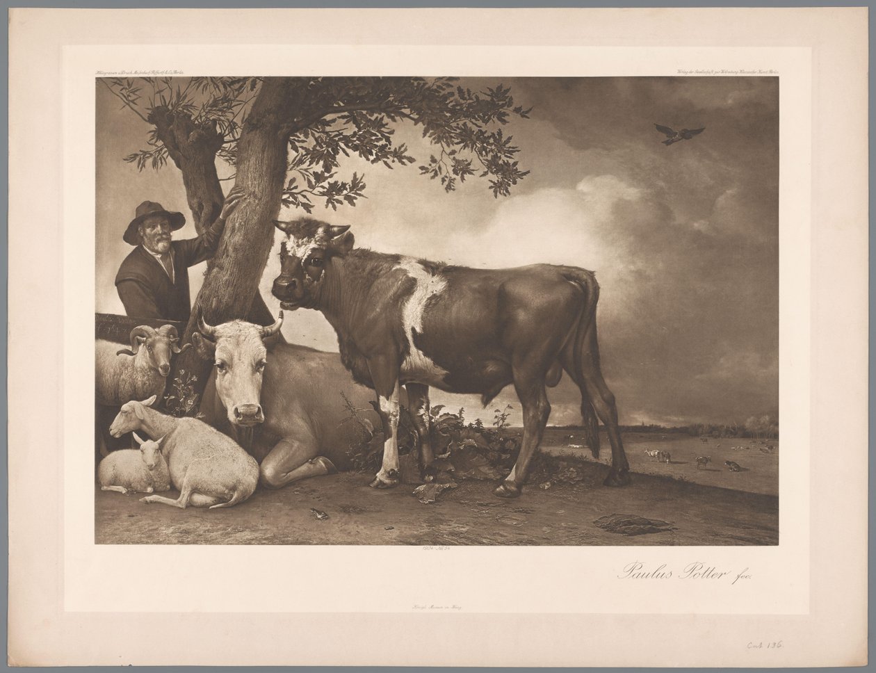 Reproduction photographique de la peinture Le Taureau par Paulus Potter, coll. Mauritshuis - Anonymous
