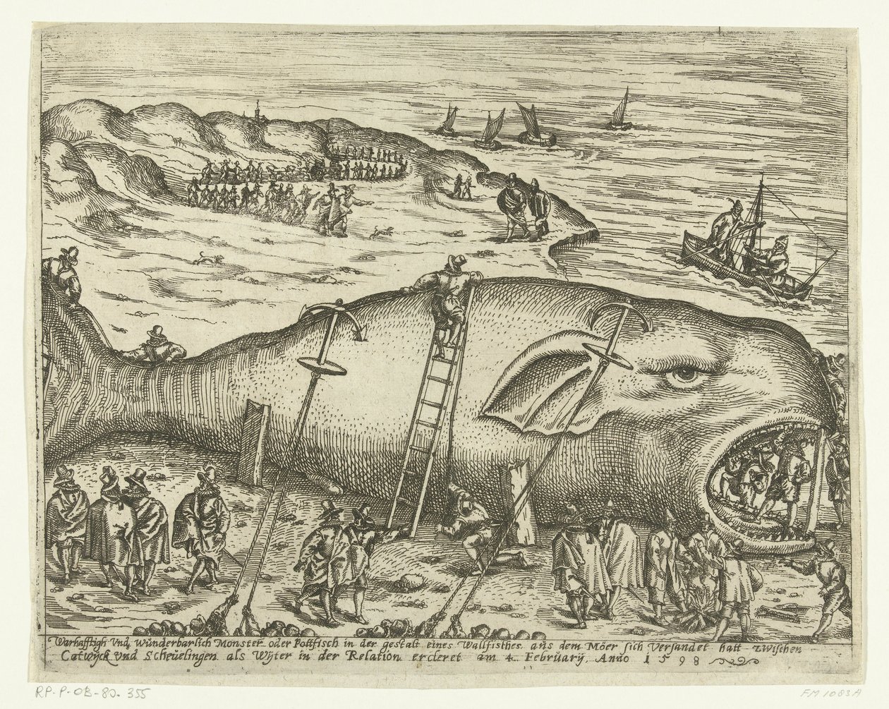 Baleine échouée près de Berckhey, 1598 - Anonymous