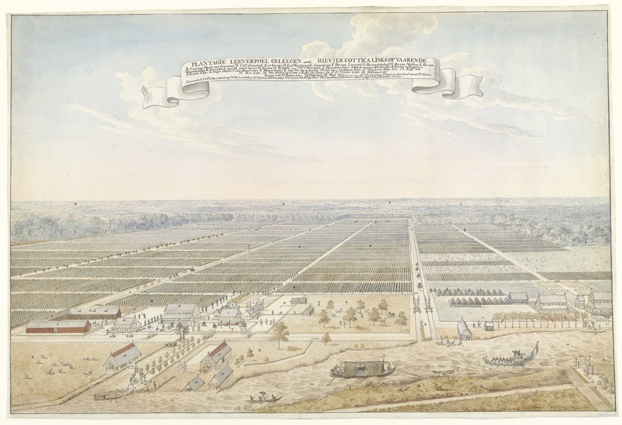 Vue de la plantation de café Leeverpoel au Suriname - Anonymous