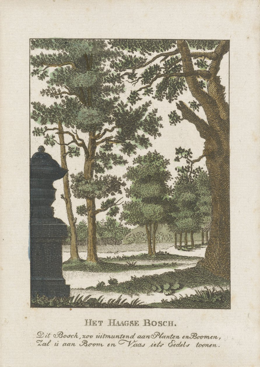 Haagse Bos - Anonymous