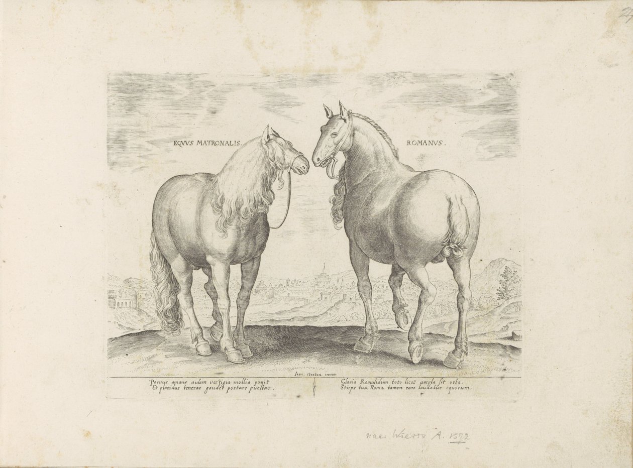 Étalon et jument de Rome - Anonymous
