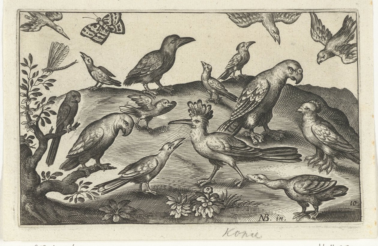 Houblon et autres oiseaux Oiseaux et insectes (titre de la série) - Anonymous