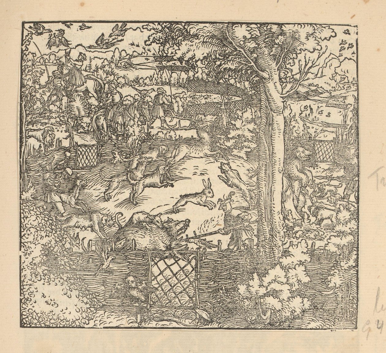 Chasse aux sangliers et aux lapins dans les haies - Anonymous