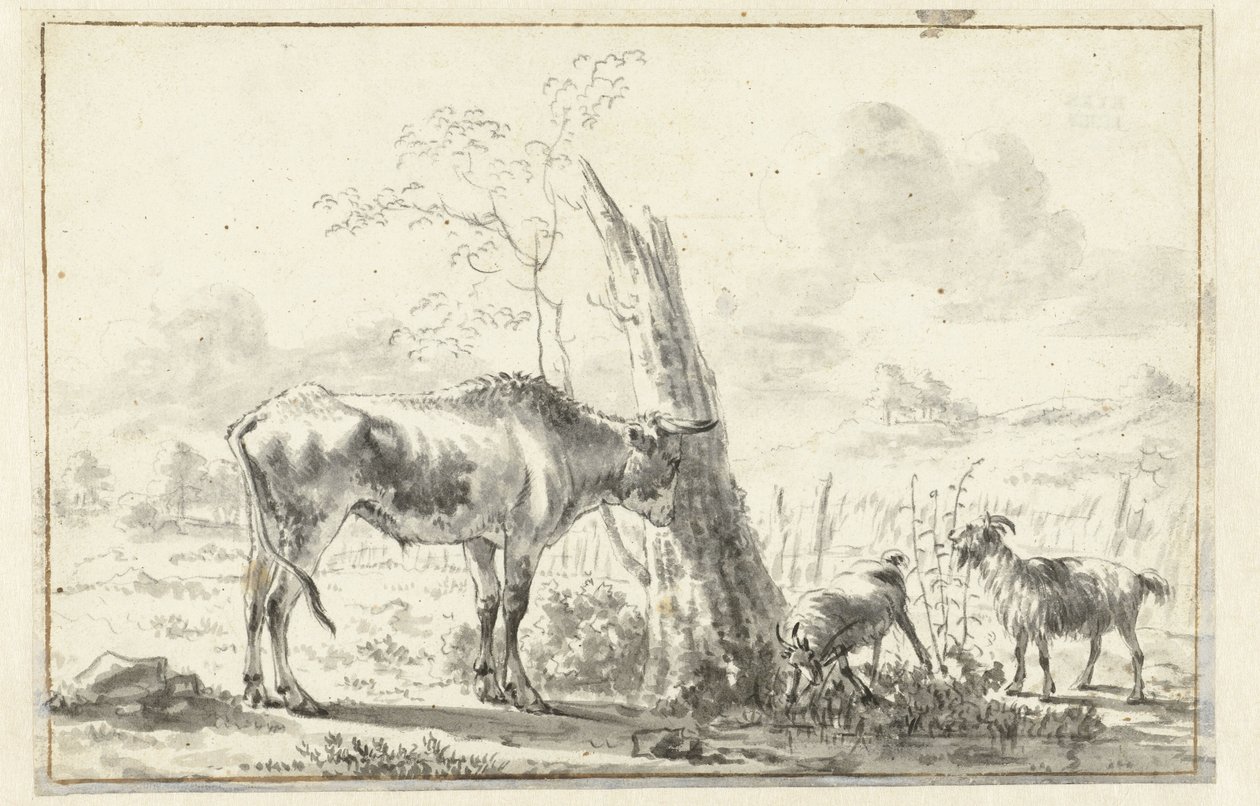 Vache et deux chèvres près d