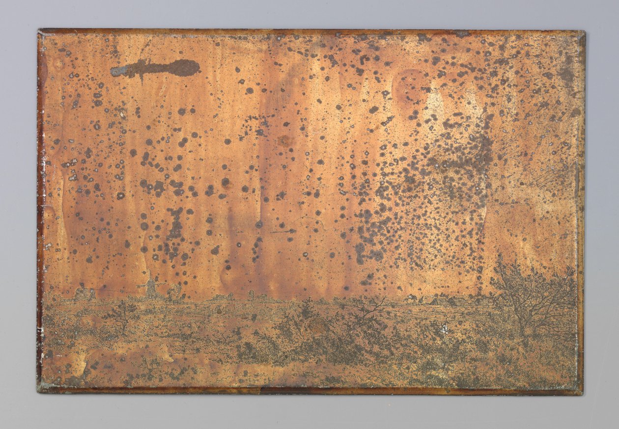 Paysage avec broussailles et moulin - Anonymous
