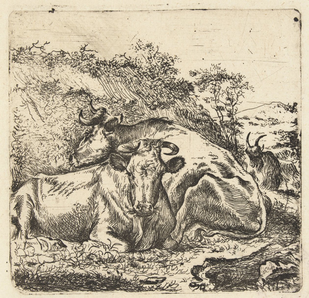 Paysage avec deux vaches au repos - Anonymous