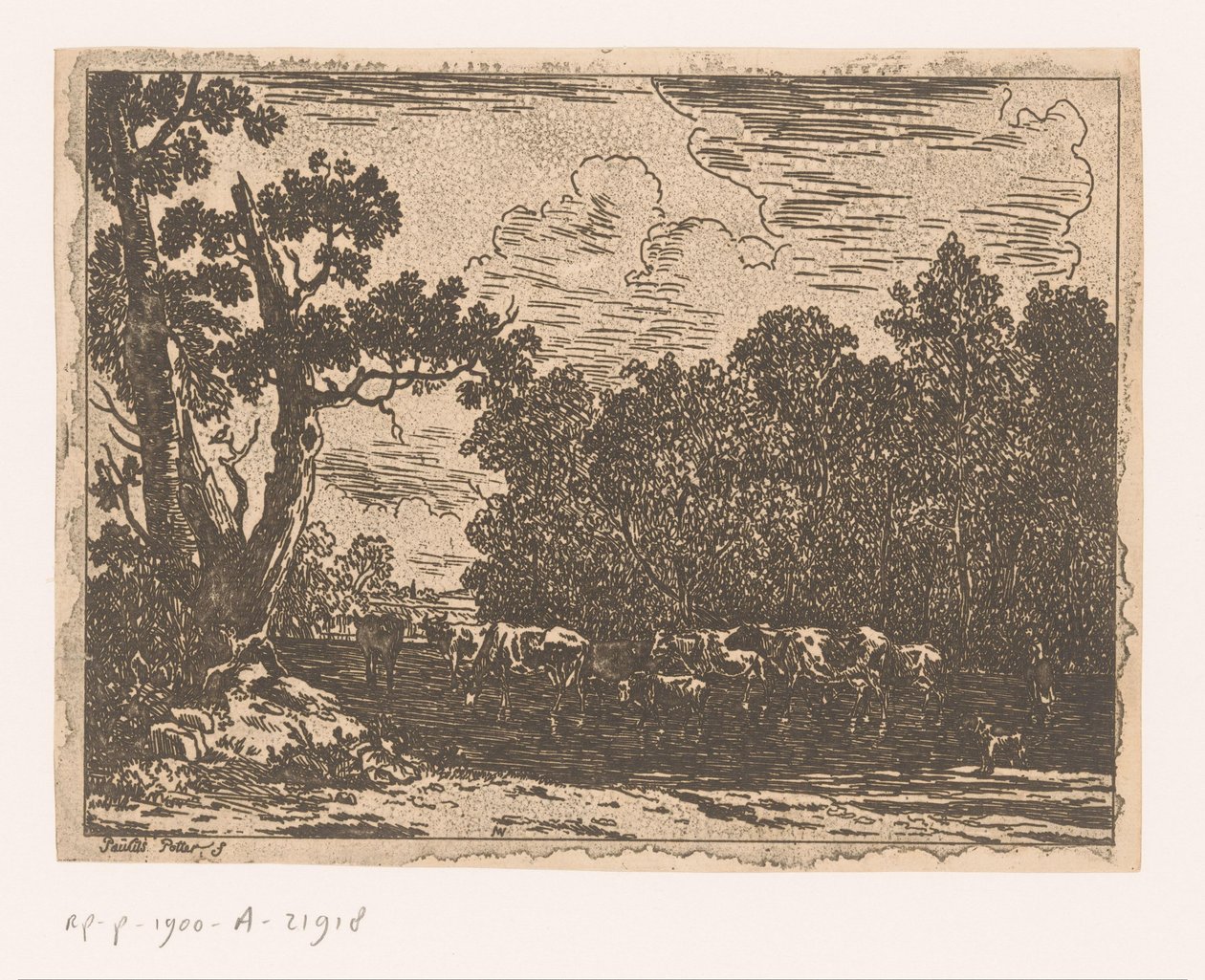 Paysage avec bétail - Anonymous