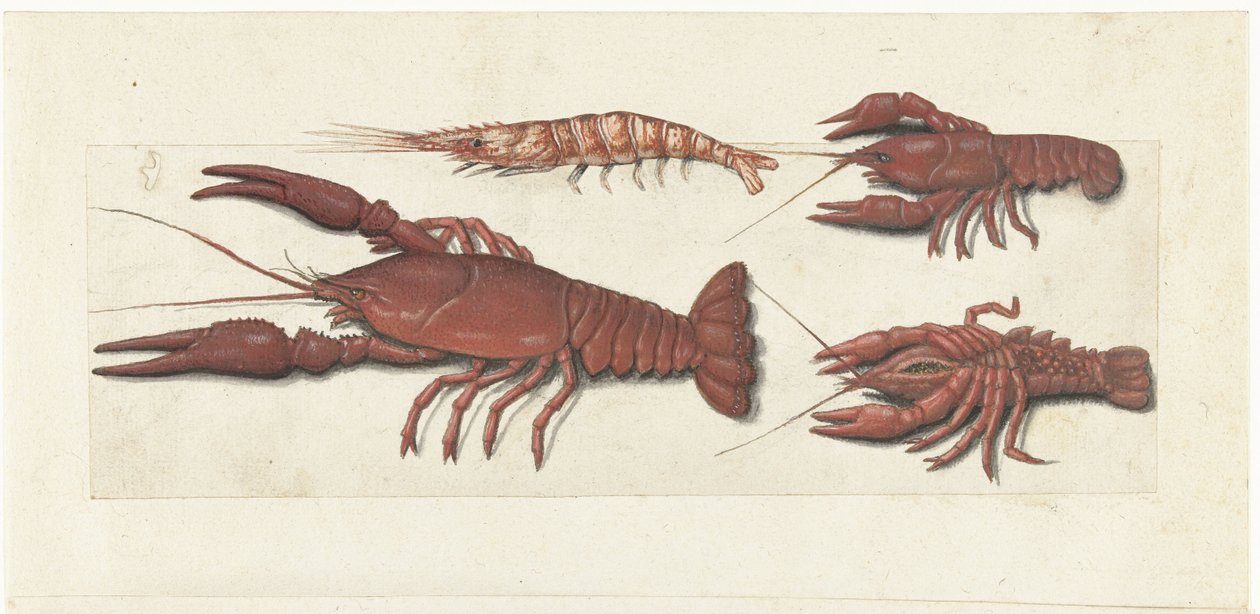 Langoustine, deux écrevisses et une crevette (album Lombard) - Anonymous