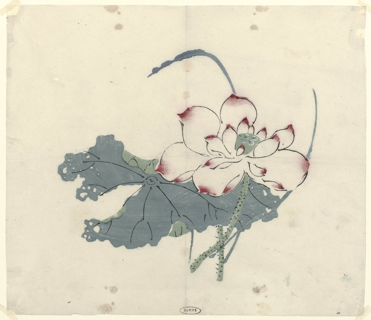 Lotus - Anonymous