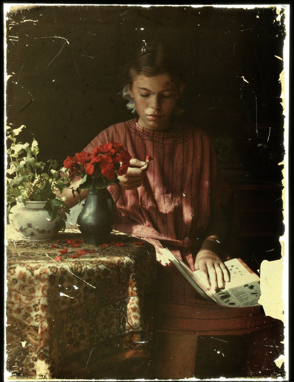 Fille déterminant des pétales de fleurs - Anonymous