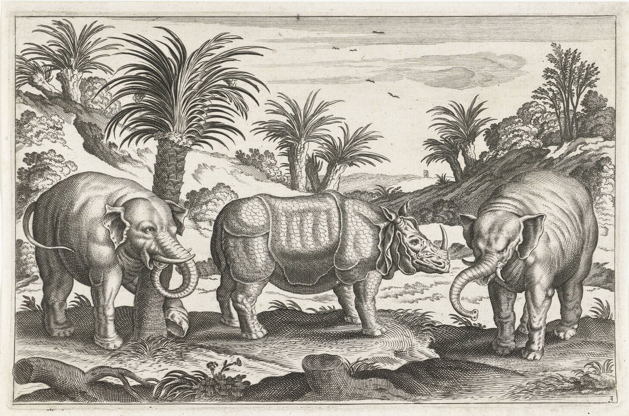 Éléphants et rhinocéros (Animaux quadrupèdes) - Anonymous