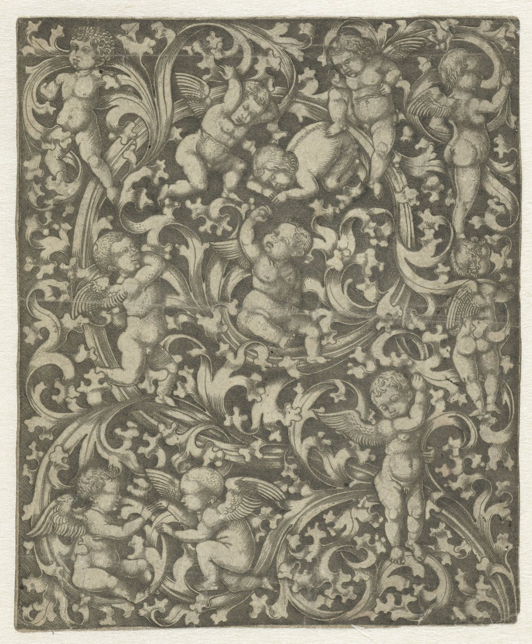 Ornement avec putti - Anonymous
