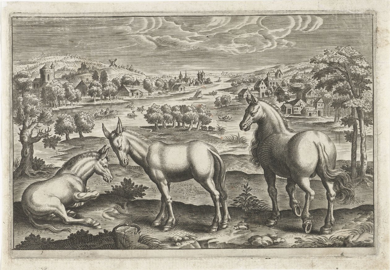 Cheval et ânes (Animaux quadrupèdes, Animalivm Qvaddrvpedvm) - Anonymous