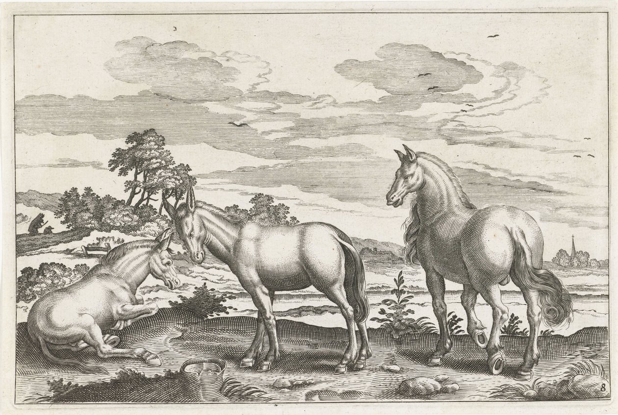 Cheval et ânes - Anonymous