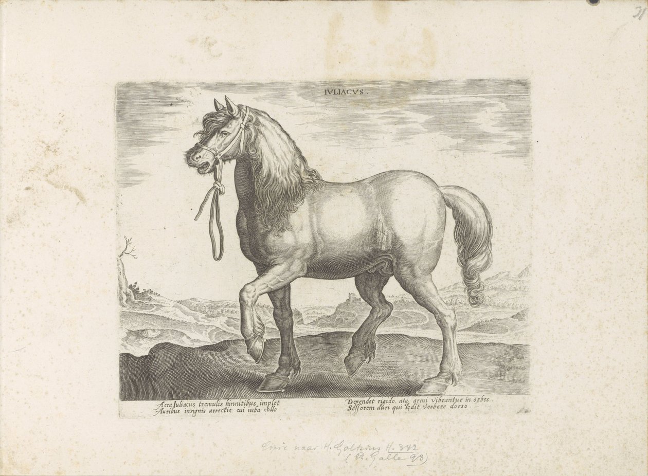 Cheval de Juliers - Anonymous