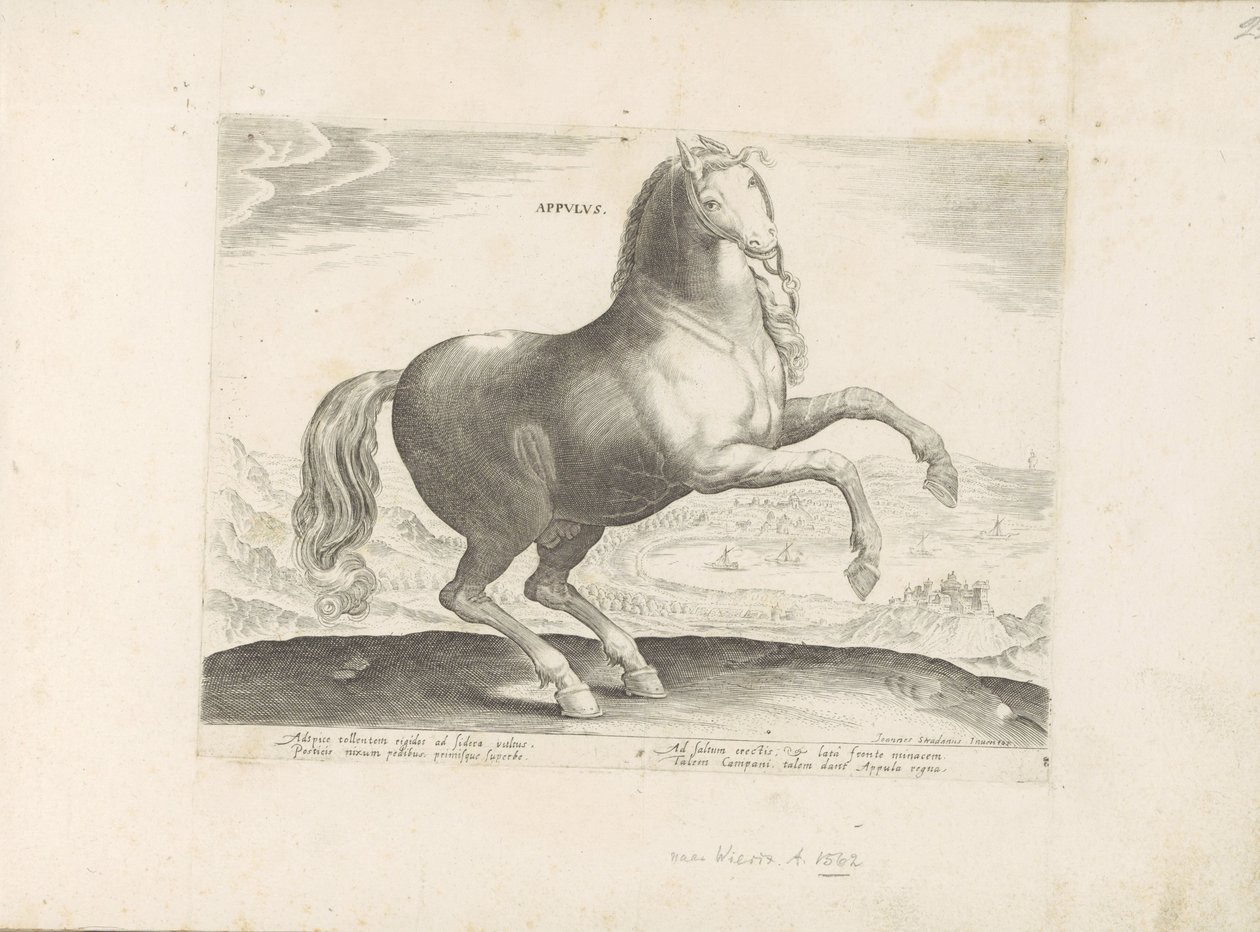 Cheval du sud de l