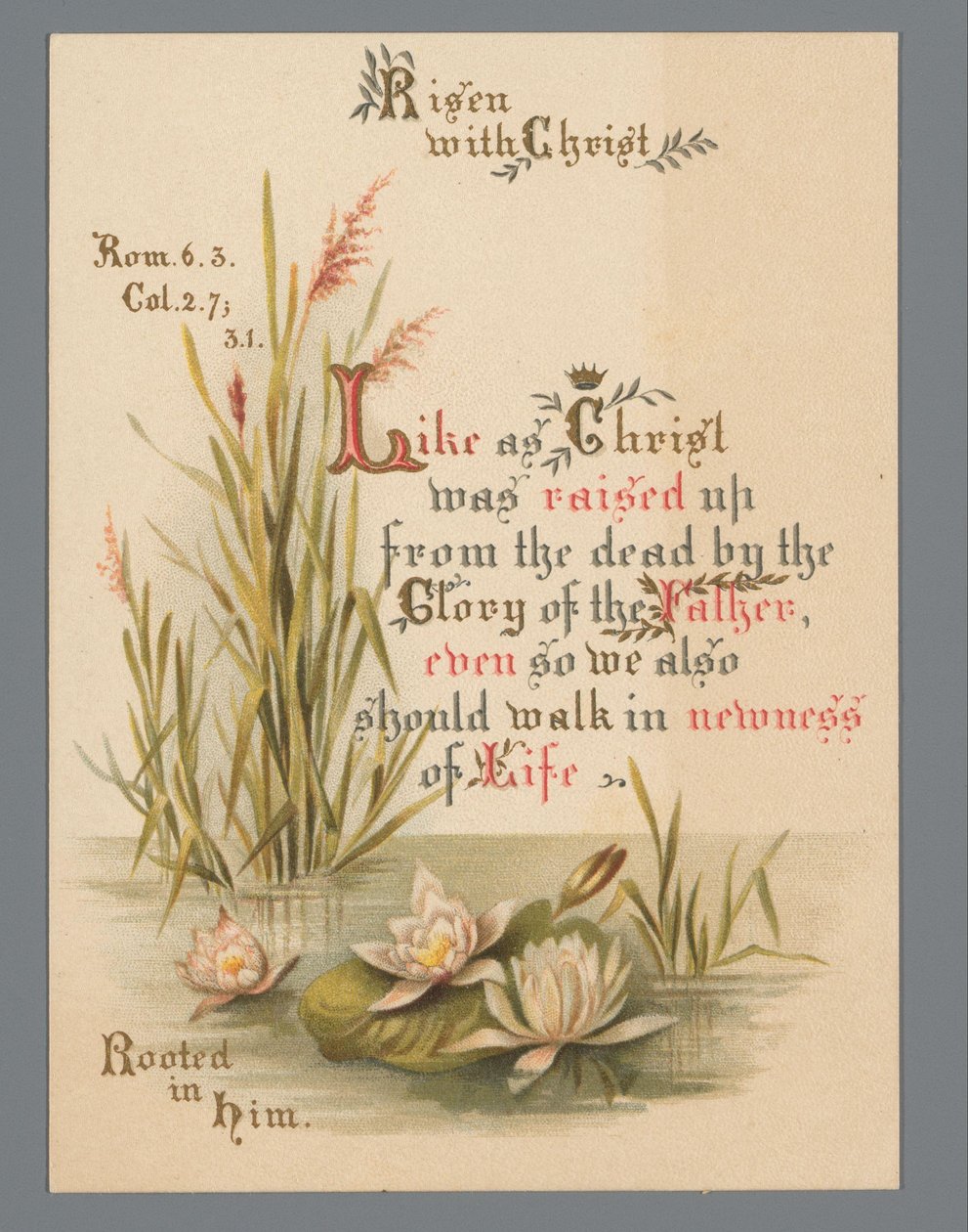 Carte de Pâques pour 1883 - Anonymous