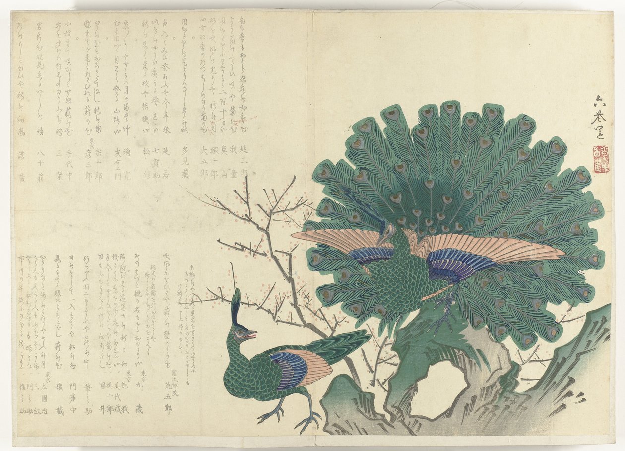Paons (Album Shijo-surimono de la période 1840-1900) - Anonymous