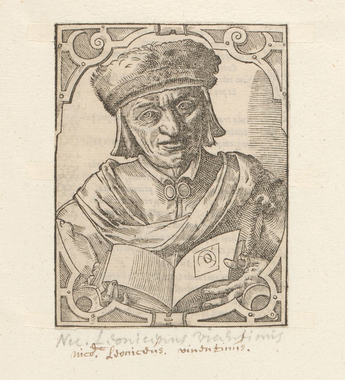 Portrait de Niccolò Leoniceno - Anonymous